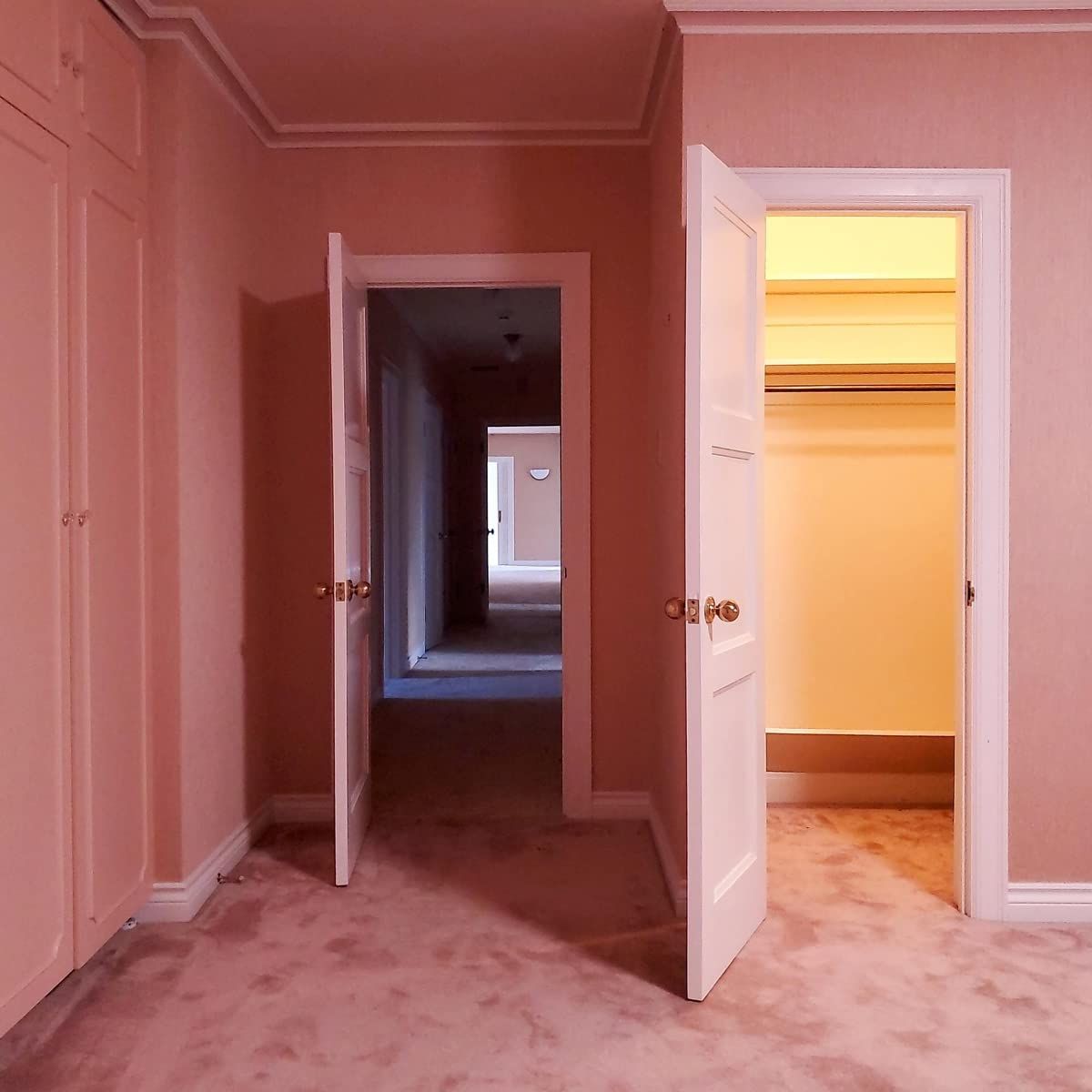 Visitor (LP)