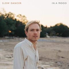 In A Mood (CD)