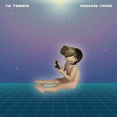 A Fool In Love (LP)