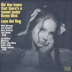 Did you know that there s a tunnel under Ocean Blvd (LP) [Explicit]