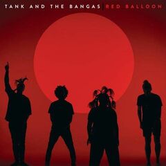 The Hits Album (CD)