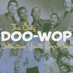 It All Started With Doo Wop: Looking For An Echo (CD)