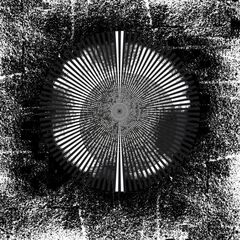 Maxed Out On Distractions (CD)
