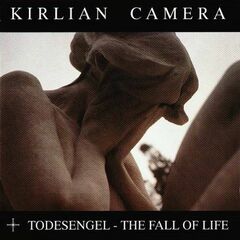 Todesengel. The Fall Of Life [Import] (CD)