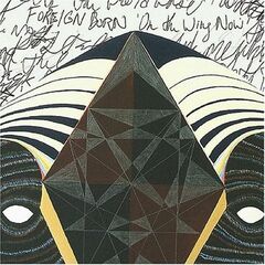 On The Wing Now (CD)