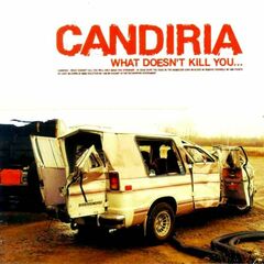 What Doesn't Kill You... (CD)