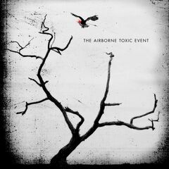 The Airborne Toxic Event (CD)