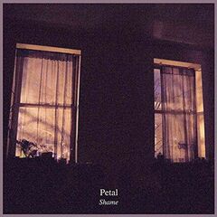 Shame (CD)