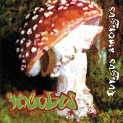 Fungus Amongus (CD)
