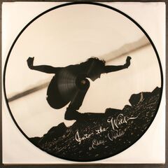 Into The Wild [OST] [Promo Only Picture Disc] (LP)
