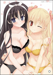 Aria the Scarlet Ammo Mini Acrylic Art Shirayuki Hotogi & Riko Mine