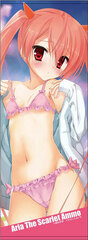 Aria the Scarlet Ammo Sports Towel Aria Holmes Kanzaki