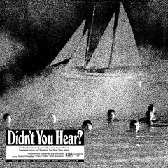 Didn't You Hear? [OST] (LP)