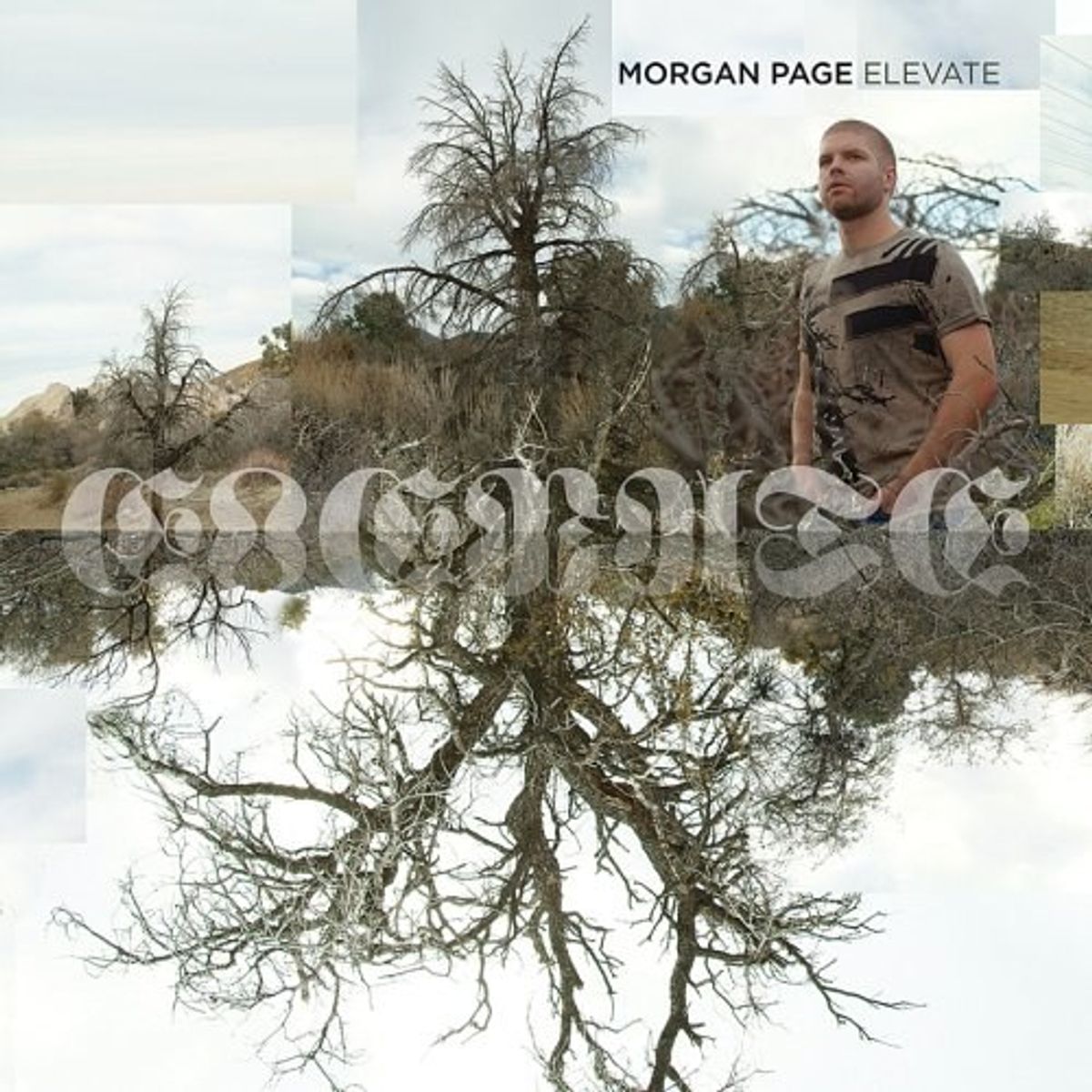 Elevate (CD) [Explicit]