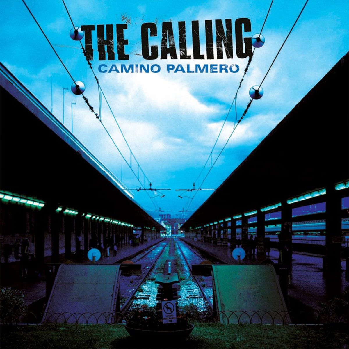 Camino Palmero [180 Gram Blue Vinyl] (LP)