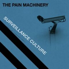 Surveillance Culture (CD)