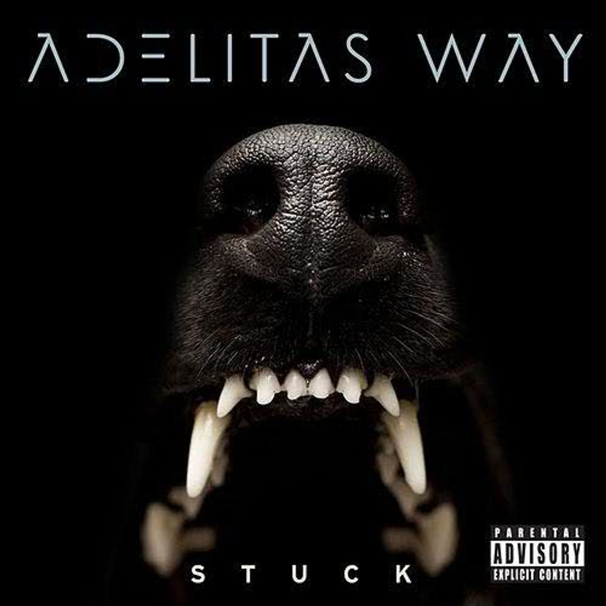Stuck (CD) [Explicit]