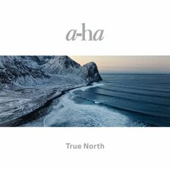 True North (LP)