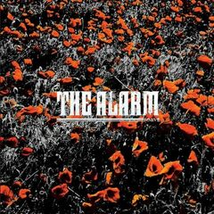 In the Poppy Fields (CD)