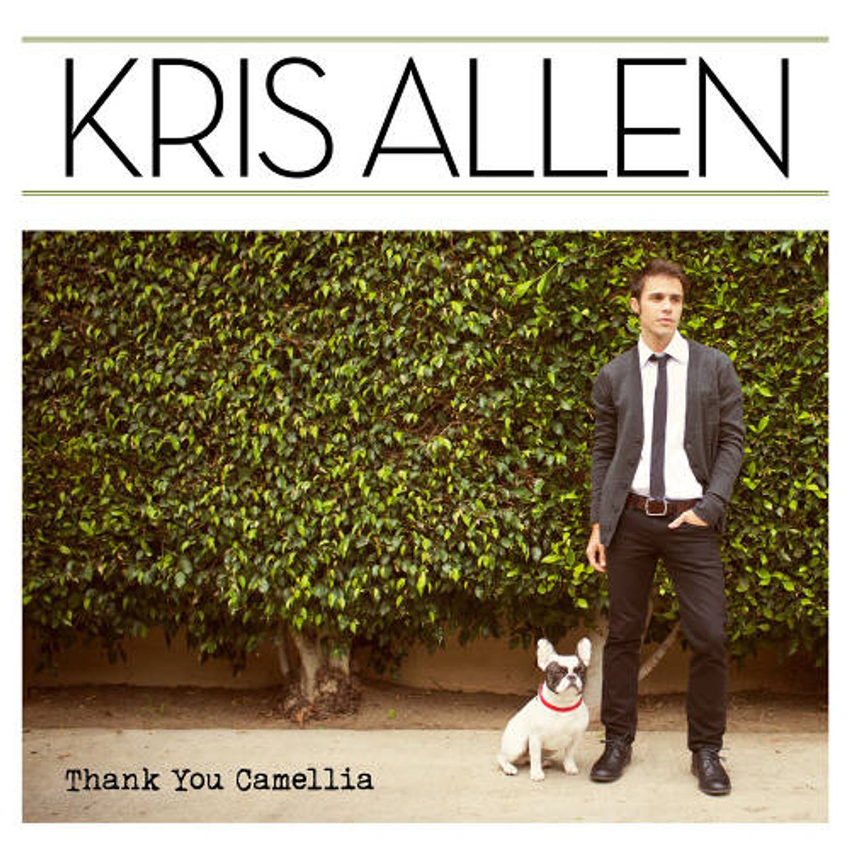 Thank You Camellia (CD)