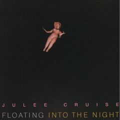 Floating Into the Night (CD)