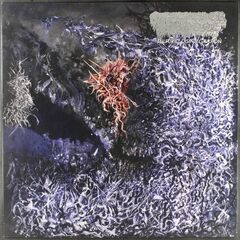 Sulfuric Disintegration (LP)