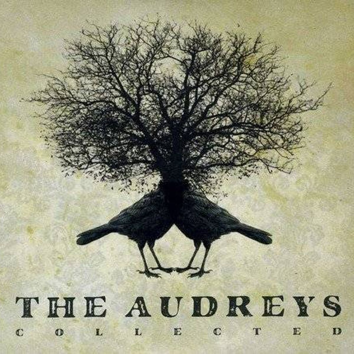 The Audreys Collected [Import] (CD)