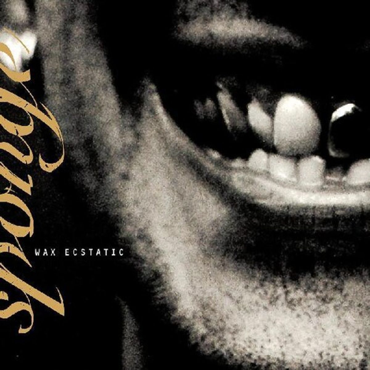 Wax Ecstatic (LP)