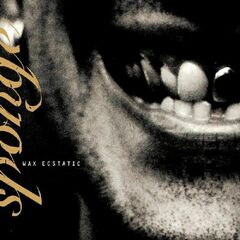 Wax Ecstatic (LP)