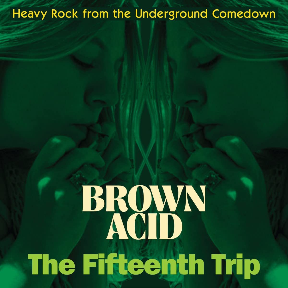 Brown Acid:The Fifteenth Trip (LP)