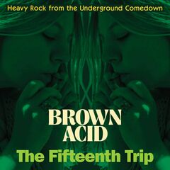 Brown Acid:The Fifteenth Trip (LP)