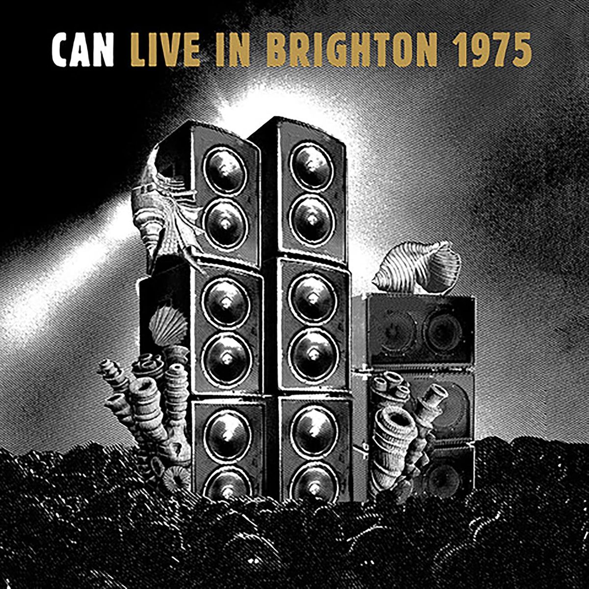 Live In Brighton 1975 [Inca Gold Vinyl] (LP)