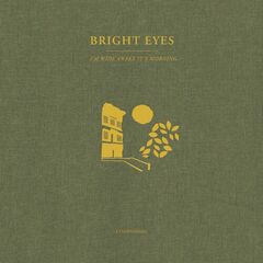 I'm Wide Awake, It's Morning: A Companion [Gold Vinyl] (12