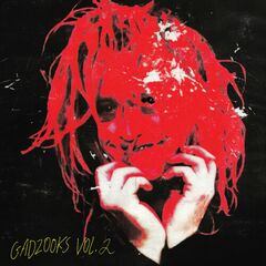 Gadzooks Vol. 2 (LP)