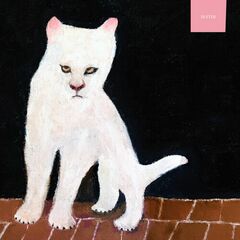 Duster (CD)