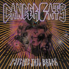 Psychic Jailbreak (LP)