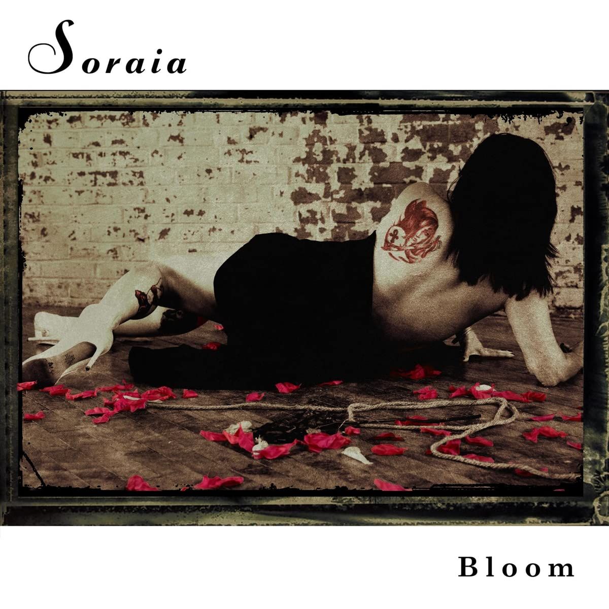 Bloom (CD)