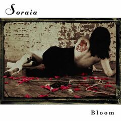 Bloom (CD)