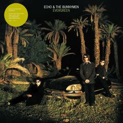 Evergreen [25th Anniversary White Vinyl] (LP)