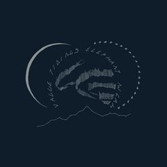 Vague Tidings (LP)