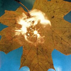 Force Of The Wind (LP)