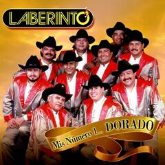 Mis Numero 1: Dorado (CD)