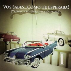 Tribute To Los Fabulosos Cadillacs: Vos Sabes Como Te Esperaba (CD)