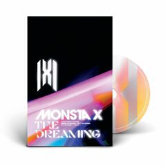 Ai Ga Nakucha Ne (CD)