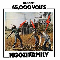 45,000 Volts (LP)