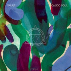Calico Soul (CD)