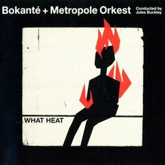 What Heat (CD)
