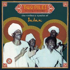 Two Niles To Sing A Melody: The Violins & Synths Of Sudan (LP)