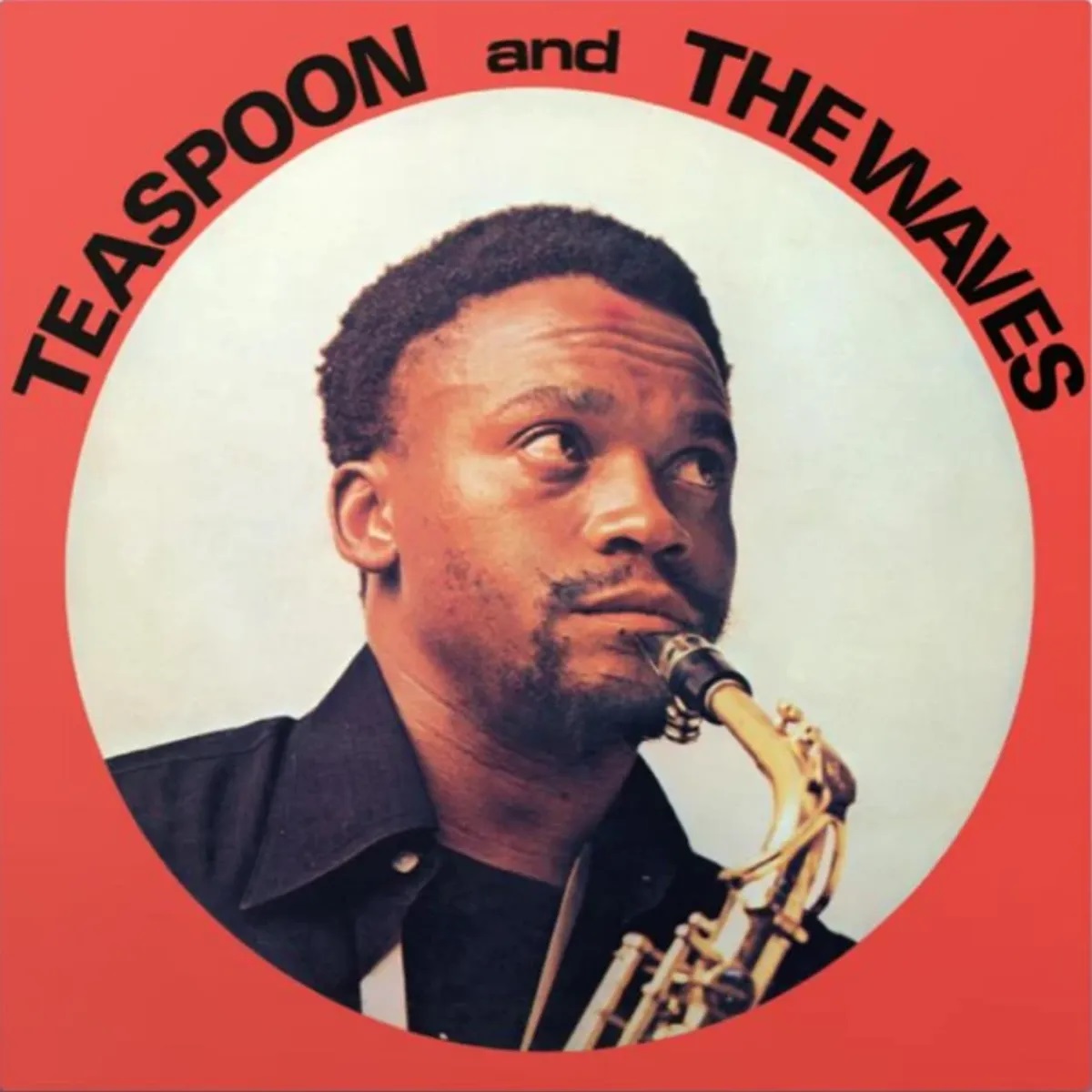Teaspoon & The Waves (CD)