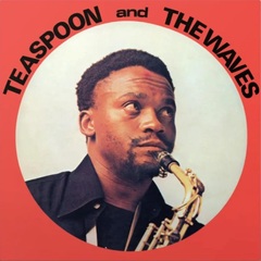 Teaspoon & The Waves (LP)